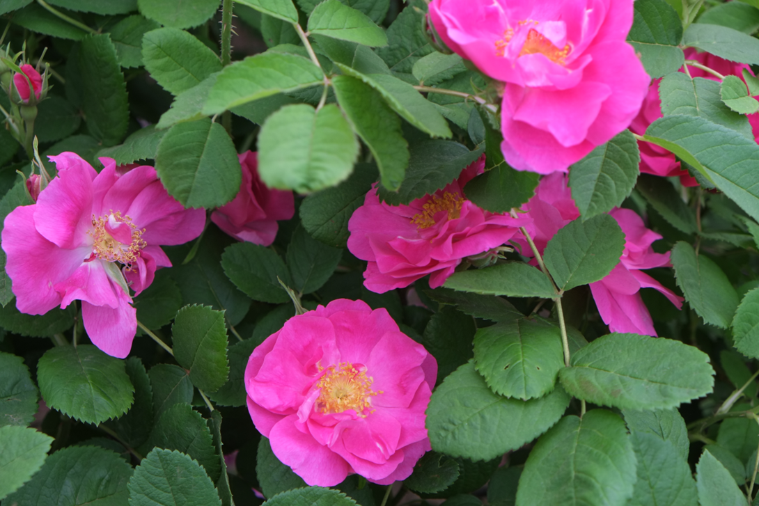 image-9.png