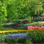 キューケンホフ公園