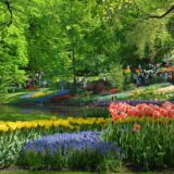 キューケンホフ公園