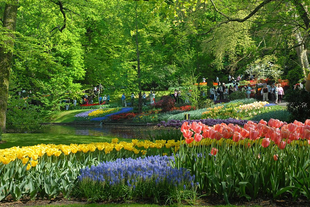 1024px-Keukenhof-Szmurlo.jpg