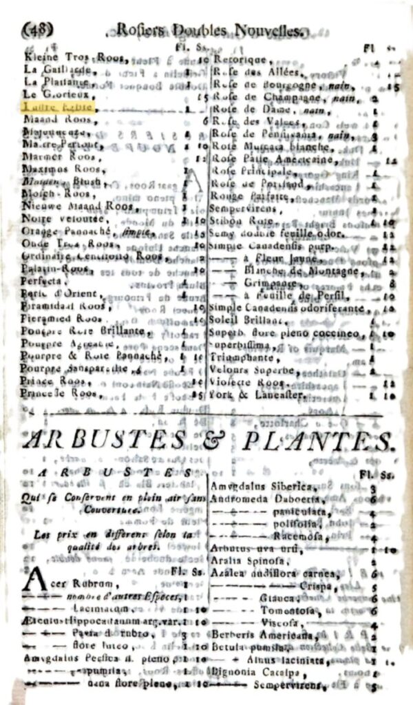 "Catalogus of Dutch Flower-Roots and Plants from Voorhelm & Schneevoogt", 1792