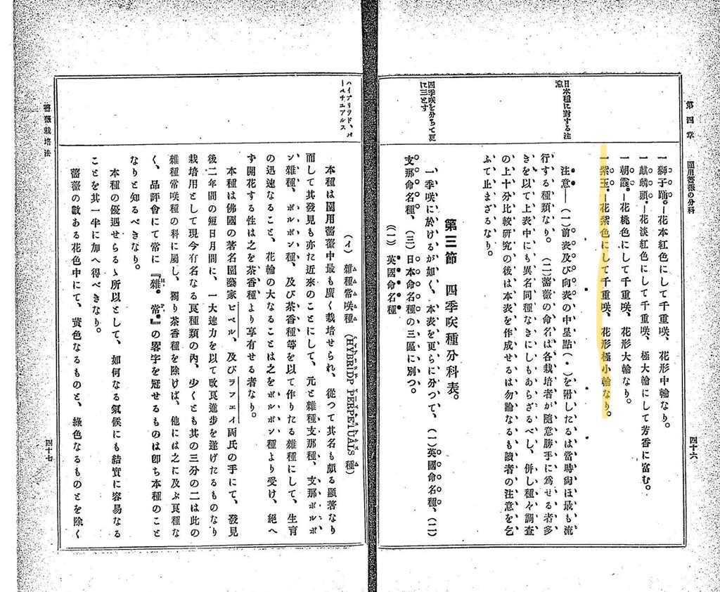 井関十二郎『最新薔薇栽培法』
